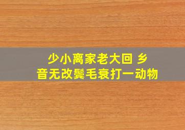 少小离家老大回 乡音无改鬓毛衰打一动物